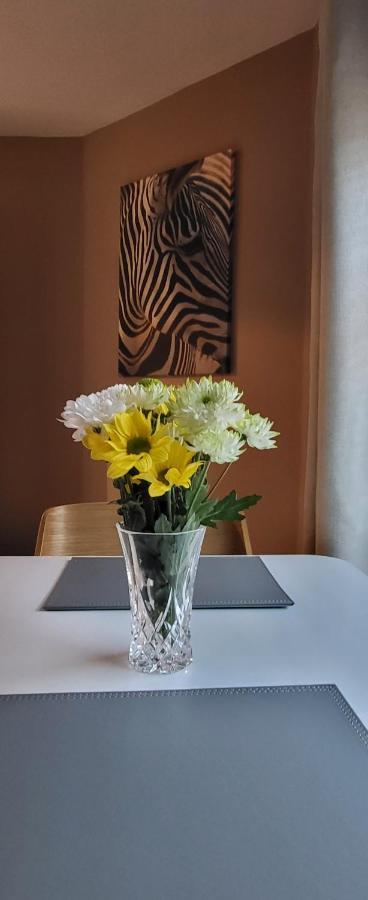 Cosy Stays Daybrook Nottingham Dış mekan fotoğraf